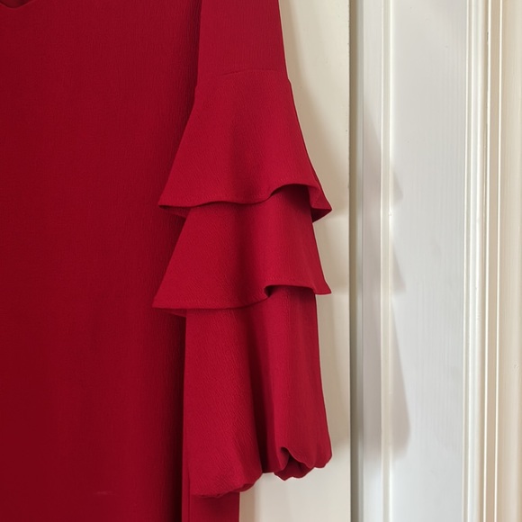 red shift dress - Picture 2 of 6